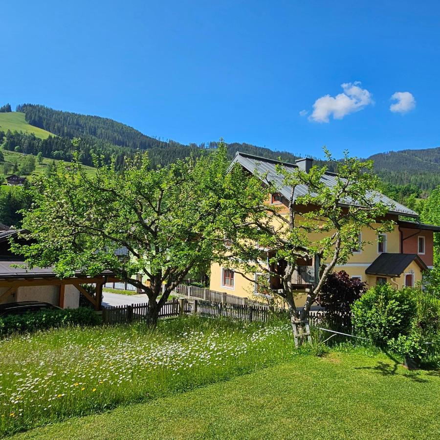 Haus Meikl Muhlbach Am Hochkonig Exterior photo